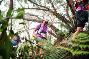 BIB: 
                            <button type="button" onclick="openModal(26299784)" class="btn btn-primary btn-sm float-right btn-popup" data-toggle="modal" data-target=".modal-high-quality">
                        <i class="fas fa-shopping-cart"></i> Add to Cart
                    </button>
                                            <button type="button" onclick="isThisMe(26299784, true)" class="btn btn-success btn-sm float-right btn-popup btn-isme hidden" data-toggle="tooltip" data-placement="bottom" title="นี่คือรูปของคุณใช่ไหม คลิกที่นี่เพื่อเอาเข้าอัลบั้ม">
                        <i class="fas fa-plus"></i> Add to album
                    </button>
                    <button type="button" onclick="isThisMe(26299784, false)" class="btn btn-warning btn-sm float-right btn-popup btn-isnotme hidden">
                        <i class="fas fa-ban"></i> Remove from album
                    </button>